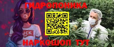 твердый Заводоуковск