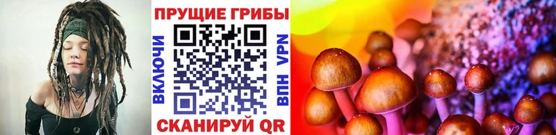 Псилоцибиновые грибы мухоморы  Кулебаки 