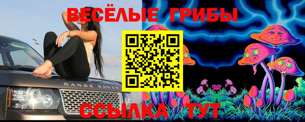 Псилоцибиновые грибы мицелий  цена наркотик  Кулебаки  Вход с VPN 